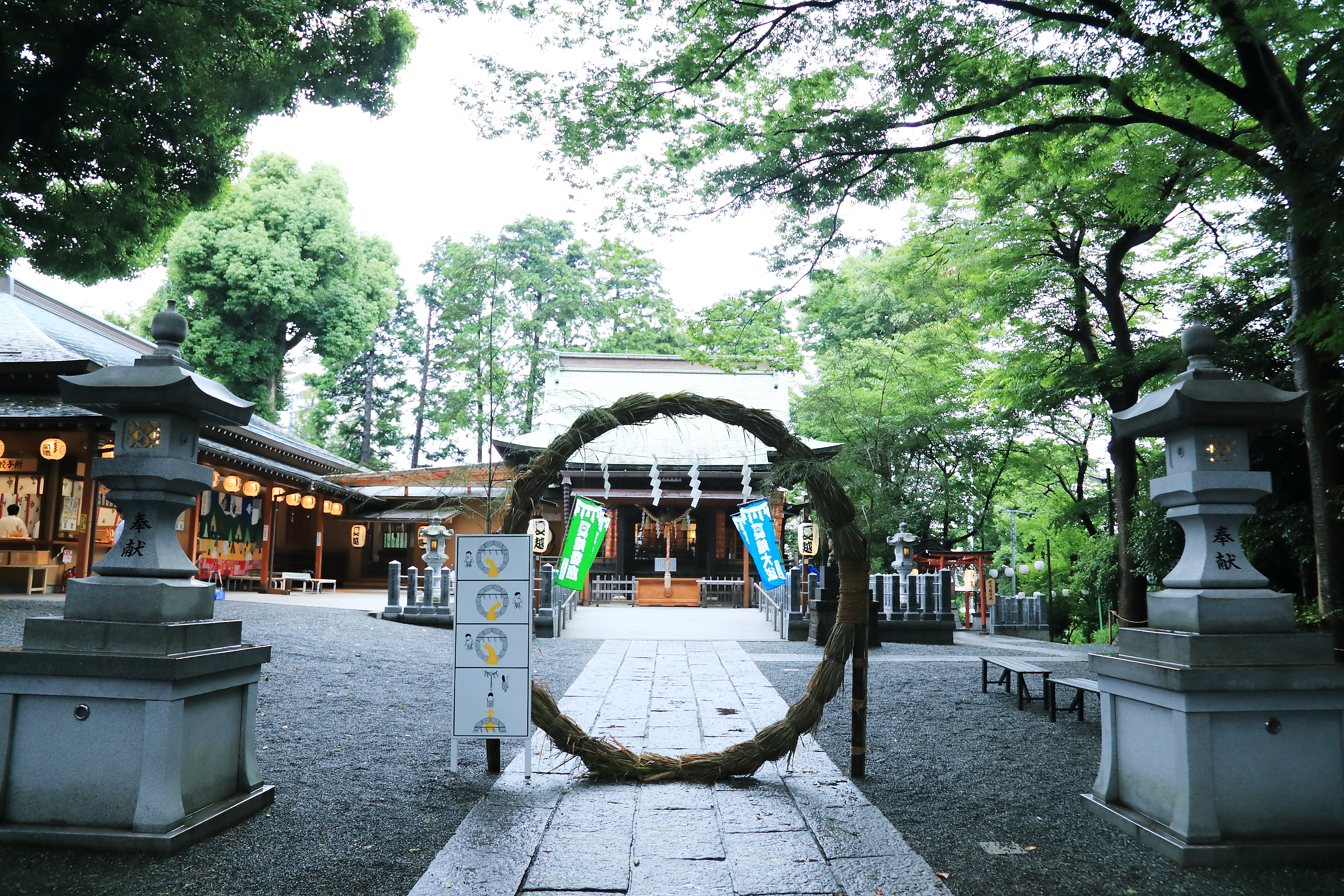 星川杉山神社の茅の輪